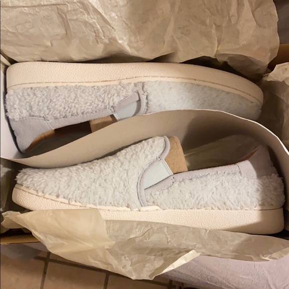 UGG Shoes - UGG’s Women RICCI Shoes